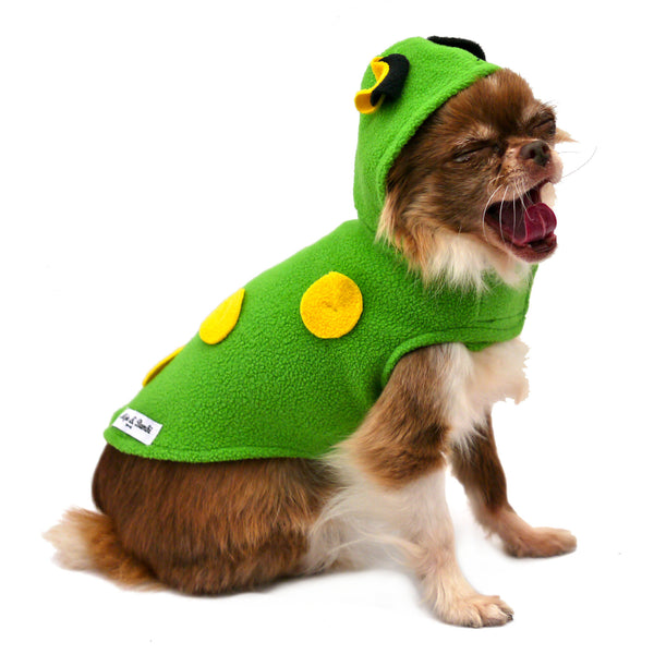 The Frog Costume