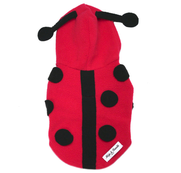The Ladybug Costume